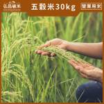 [營業用五穀米] 健康 養生 營業用米 五穀米 (30kg/包)[A003J109]
