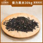 [營業用]黑米(非糯性黑米)-30kg(免運)[A003J1BR]