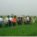 弘昌稻米產銷契作集團產區-病蟲害防治講習會